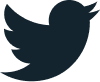 SpoofSense Twitter Link